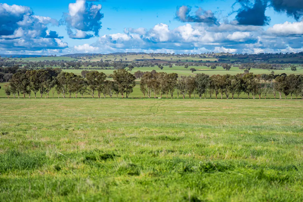 3015 Urana Road, Burrumbuttock, NSW, 2642 - Image 10