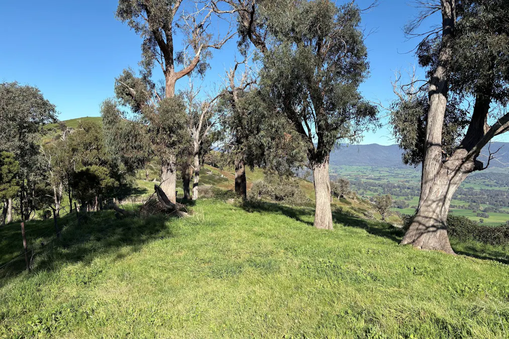 Reid Lane, Gundowring, VIC, 3691 - Image 25