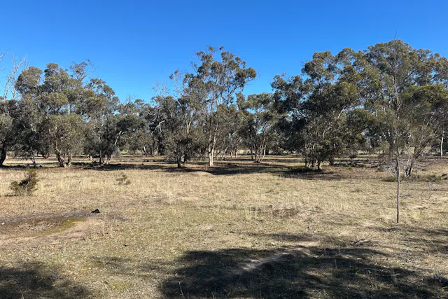 83 Brown Street — photo from Elders Real Estate - Katanning Specialists