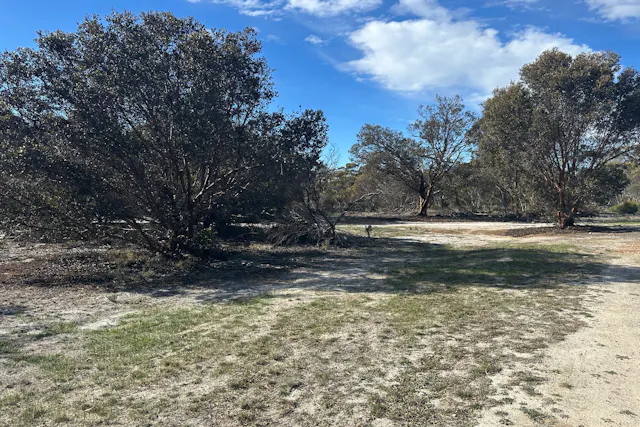 Carpenter Street — photo from Elders Real Estate - Katanning Specialists