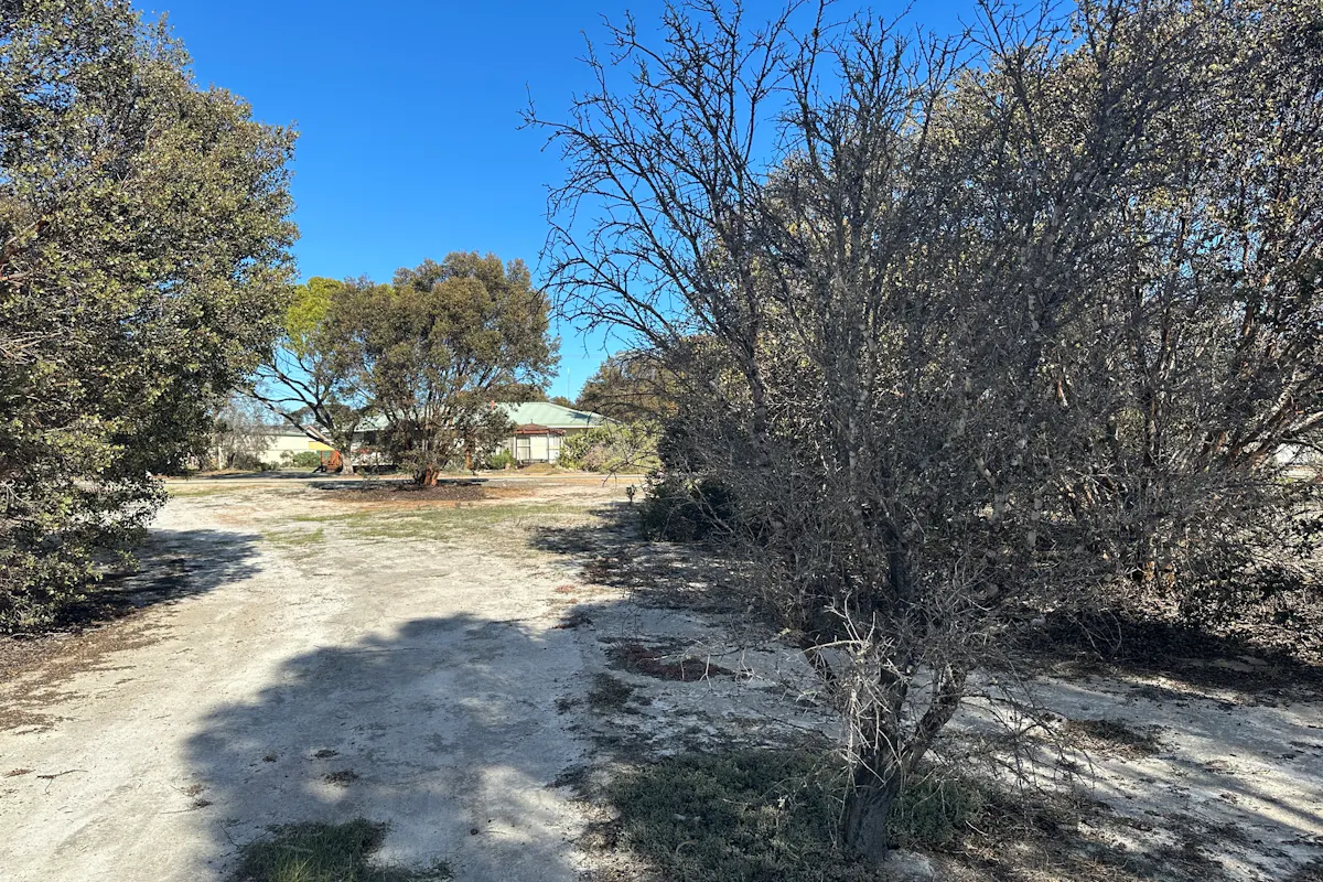 Carpenter Street — photo 3 of 6