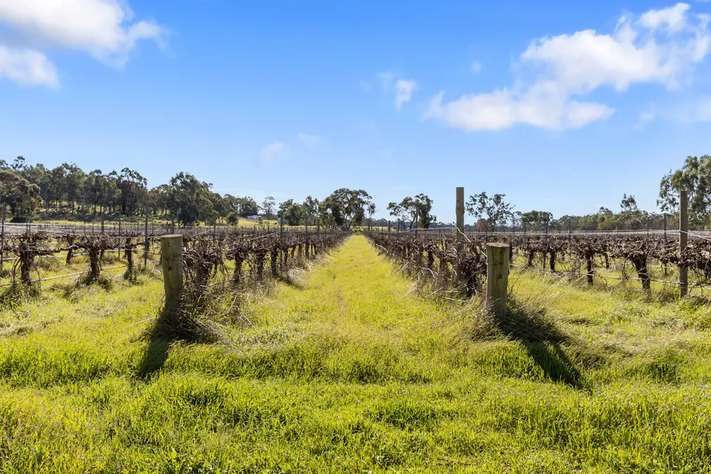 86 St George Terrace, Armagh, SA, 5453 - Image 21