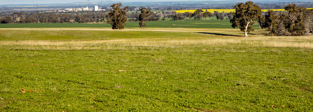 572 Jaloran Road, Wagin, WA, 6315 - Image 18