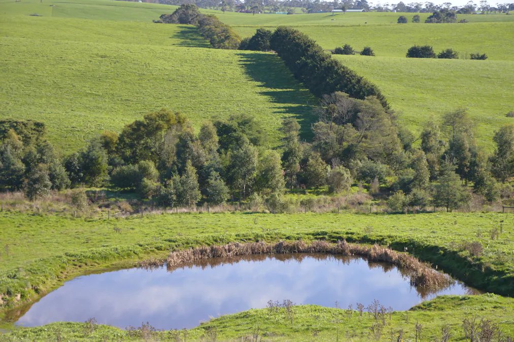 900 Mount Lyall Road, Nyora, VIC, 3987 - Image 3