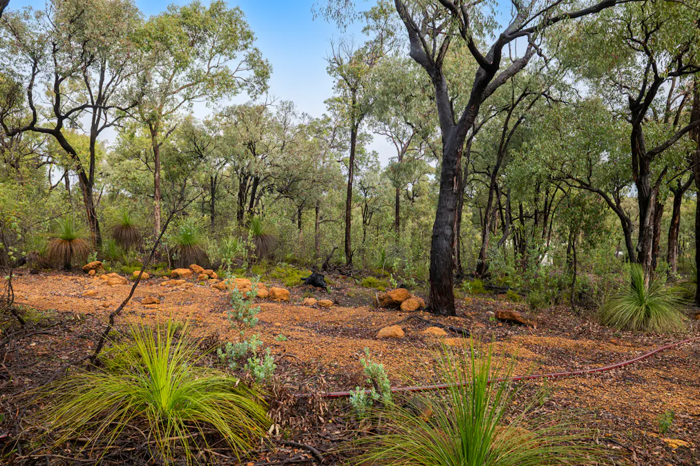 91 Tooday Glen, Chittering, WA, 6084 - Image 18