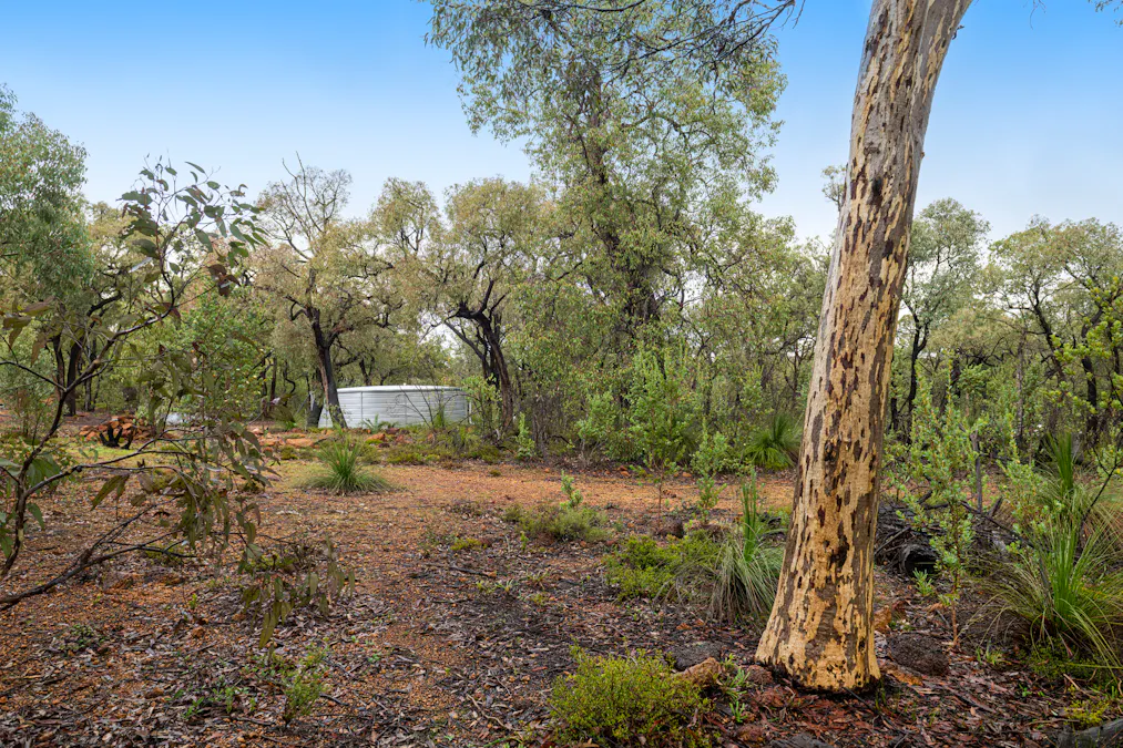 91 Tooday Glen, Chittering, WA, 6084 - Image 15