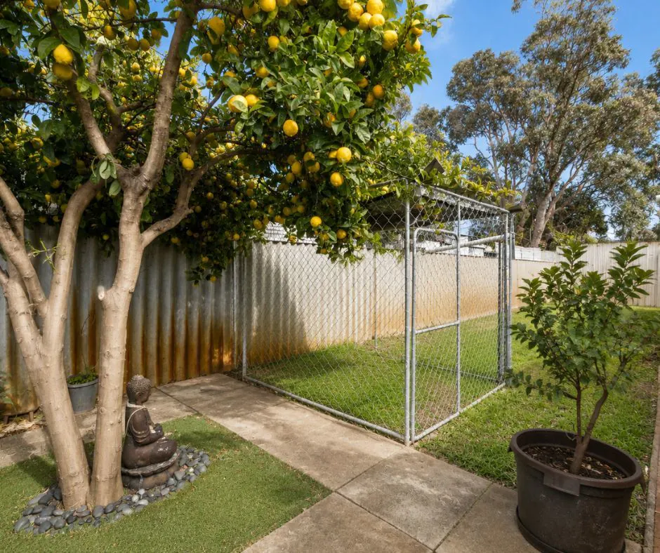 1 Julia Drive — photo 10 of 13