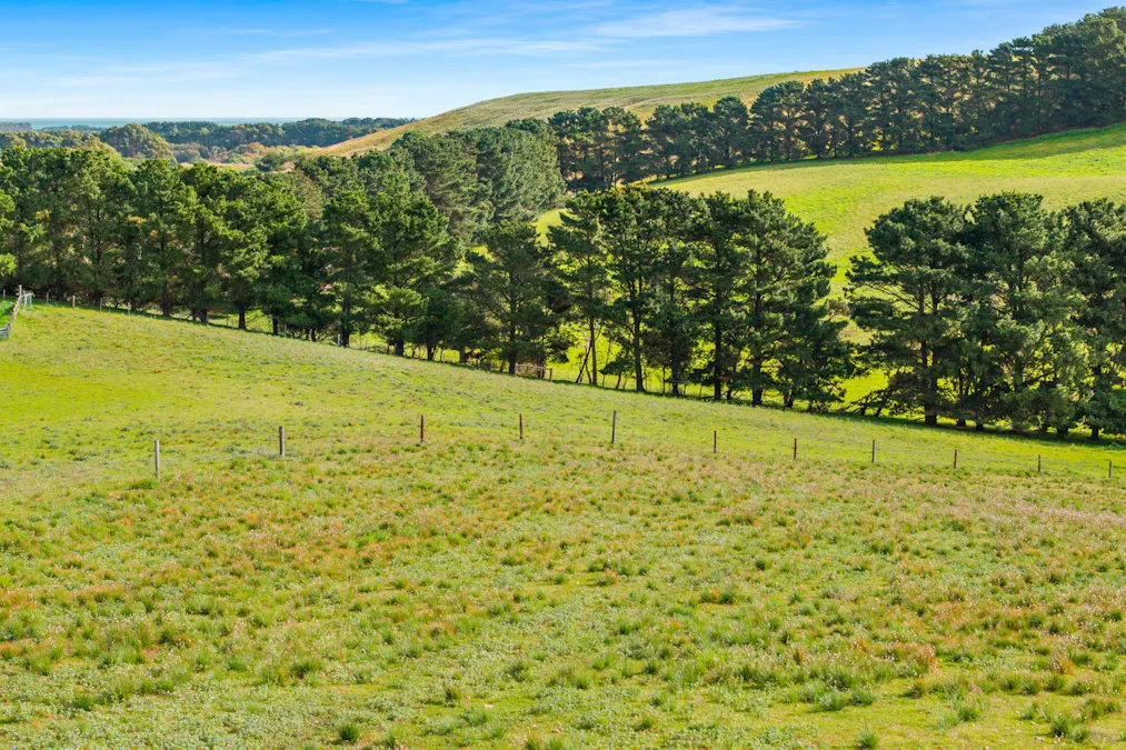 Lot 102 Wrights Bay Road, Mount Benson, SA, 5275 - Image 4
