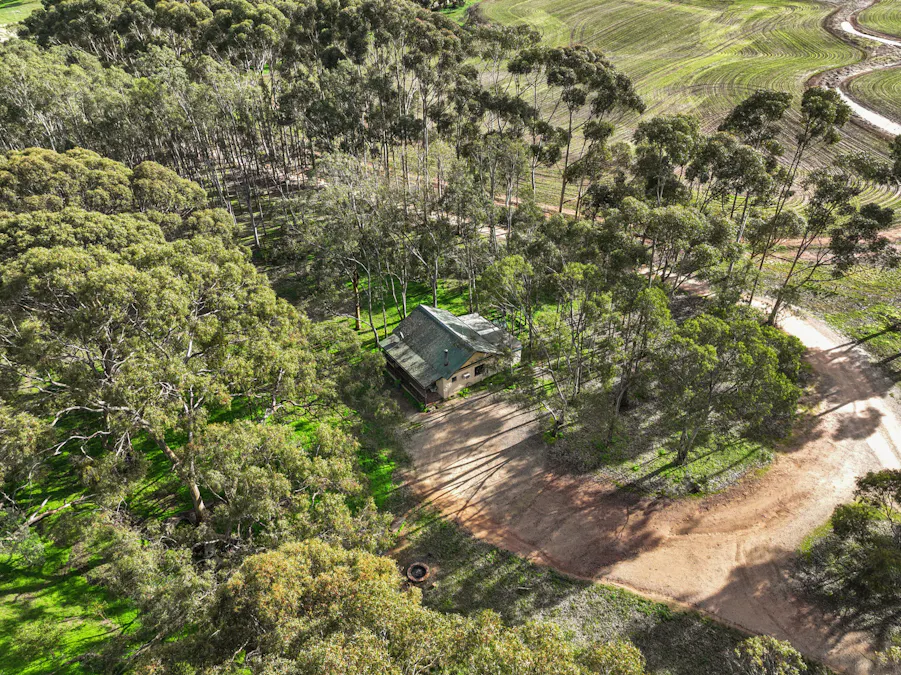 99 Gaelic Cemetery Road, Stanley Flat, SA, 5453 - Image 29