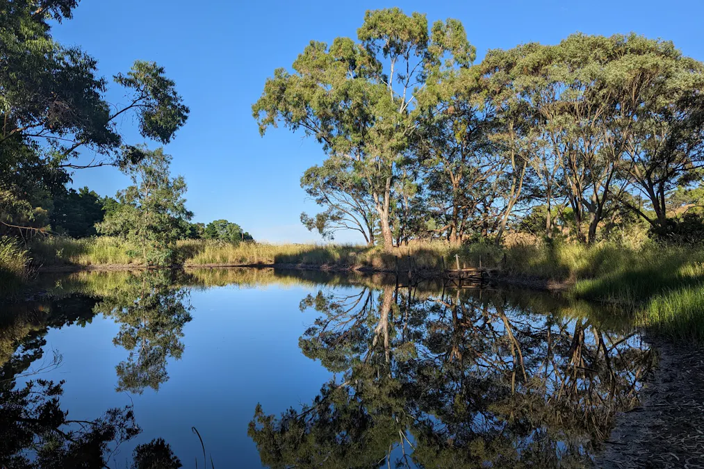99 Gaelic Cemetery Road, Stanley Flat, SA, 5453 - Image 27