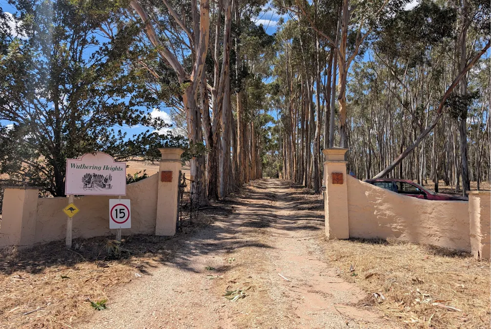 99 Gaelic Cemetery Road, Stanley Flat, SA, 5453 - Image 3