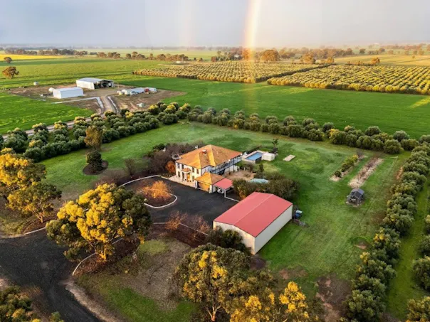 'Sevilo Grove' 934 Ham Road, Moama, NSW, 2731