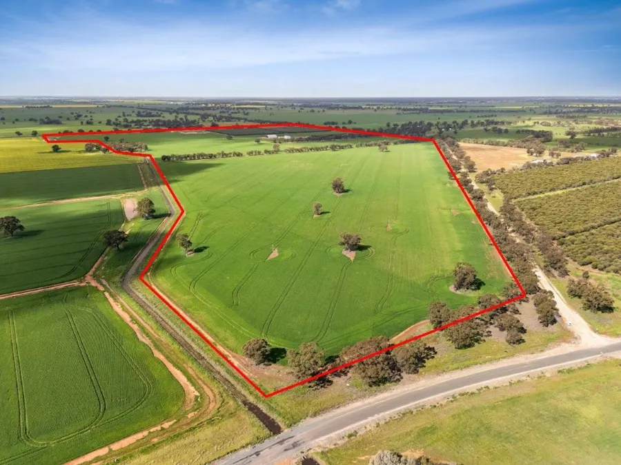'Sevilo Grove' 934 Ham Road, Moama, NSW, 2731 - Image 3
