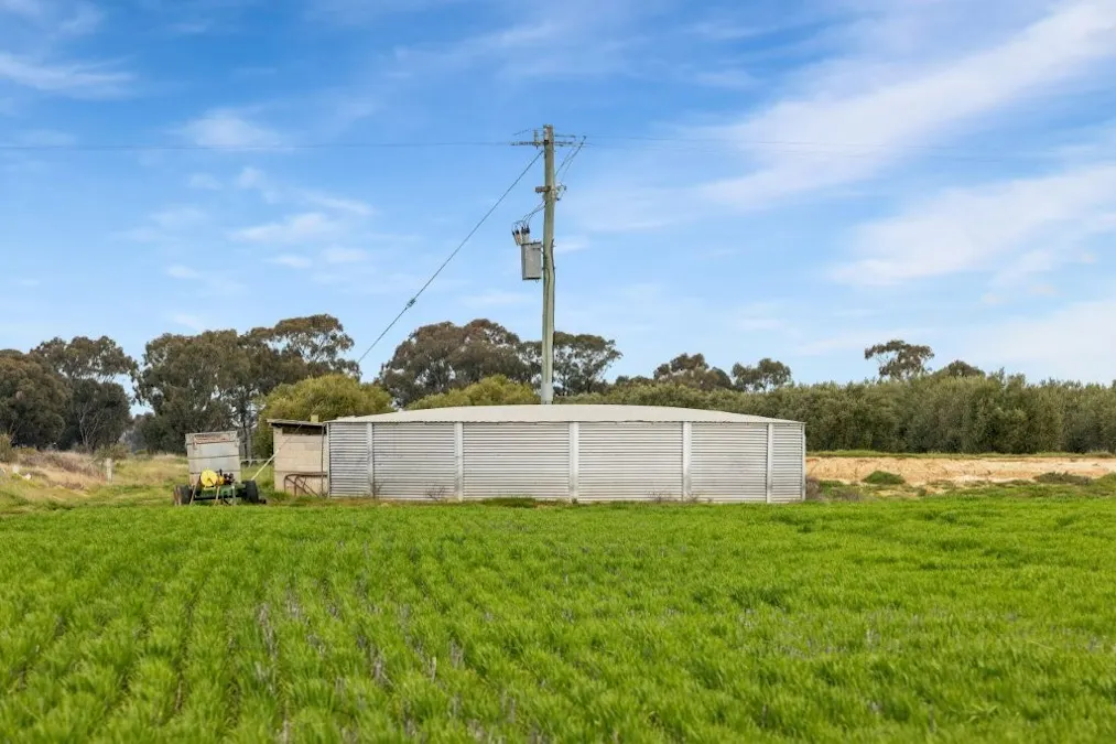 'Sevilo Grove' 934 Ham Road, Moama, NSW, 2731 - Image 7