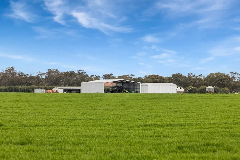 'Sevilo Grove' 934 Ham Road, Moama, NSW, 2731 - Image 11