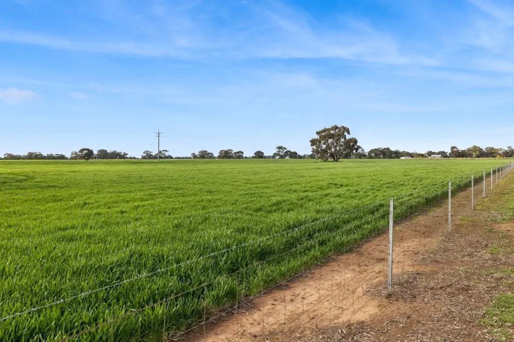 'Sevilo Grove' 934 Ham Road, Moama, NSW, 2731 - Image 12