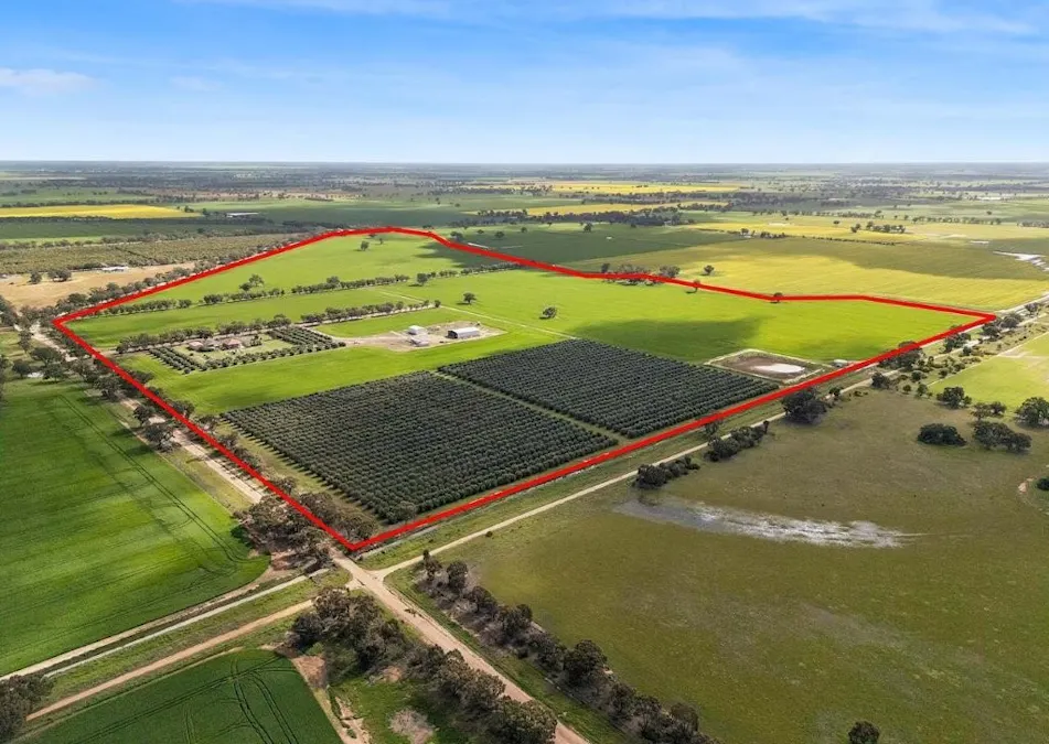 'Sevilo Grove' 934 Ham Road, Moama, NSW, 2731 - Image 26