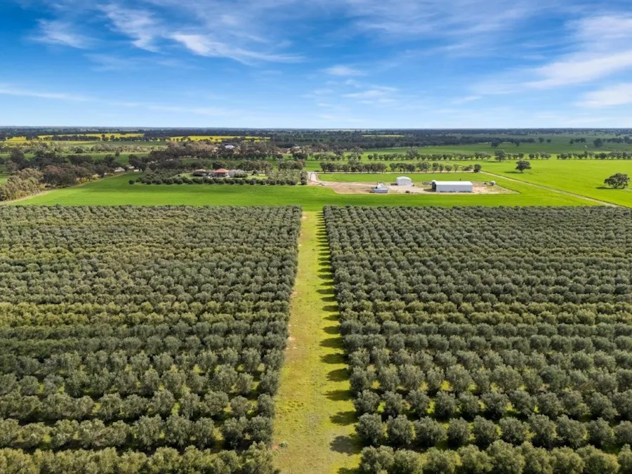 'Sevilo Grove' 934 Ham Road, Moama, NSW, 2731 - Image 27