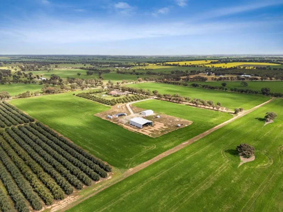 'Sevilo Grove' 934 Ham Road, Moama, NSW, 2731 - Image 5