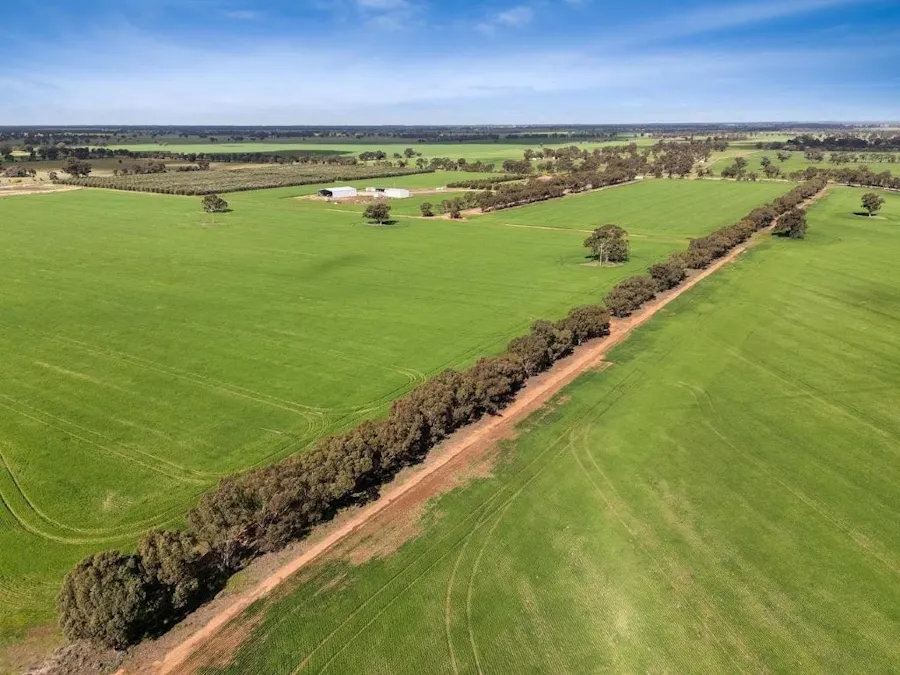 'Sevilo Grove' 934 Ham Road, Moama, NSW, 2731 - Image 31