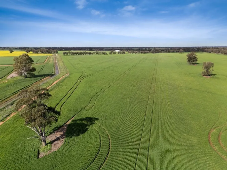 'Sevilo Grove' 934 Ham Road, Moama, NSW, 2731 - Image 32