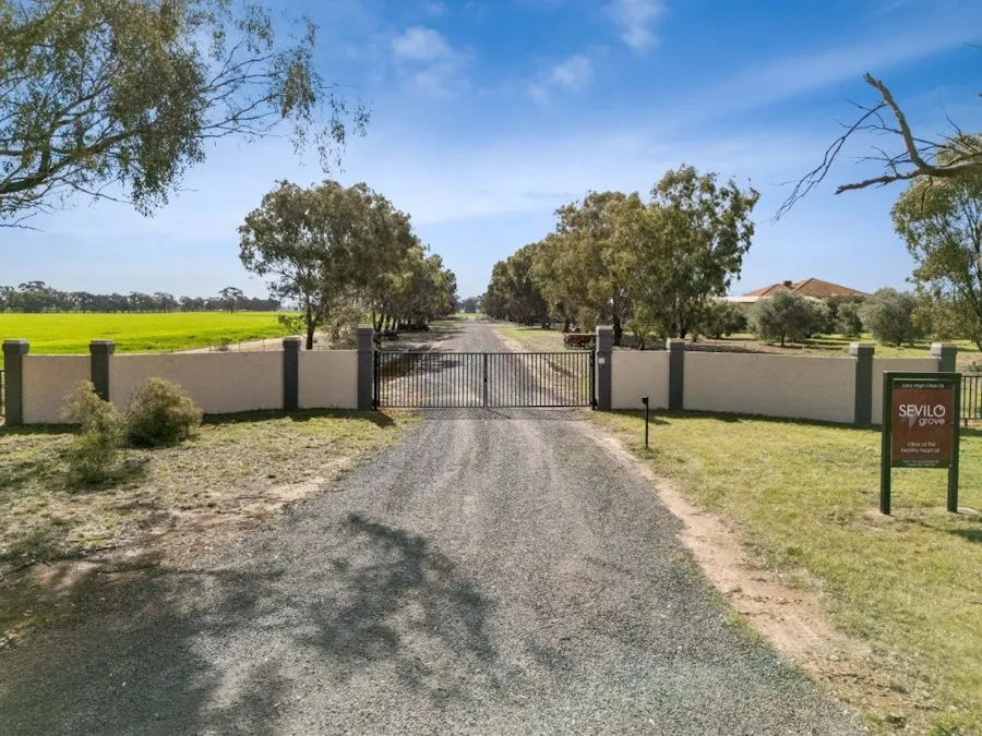 'Sevilo Grove' 934 Ham Road, Moama, NSW, 2731 - Image 34