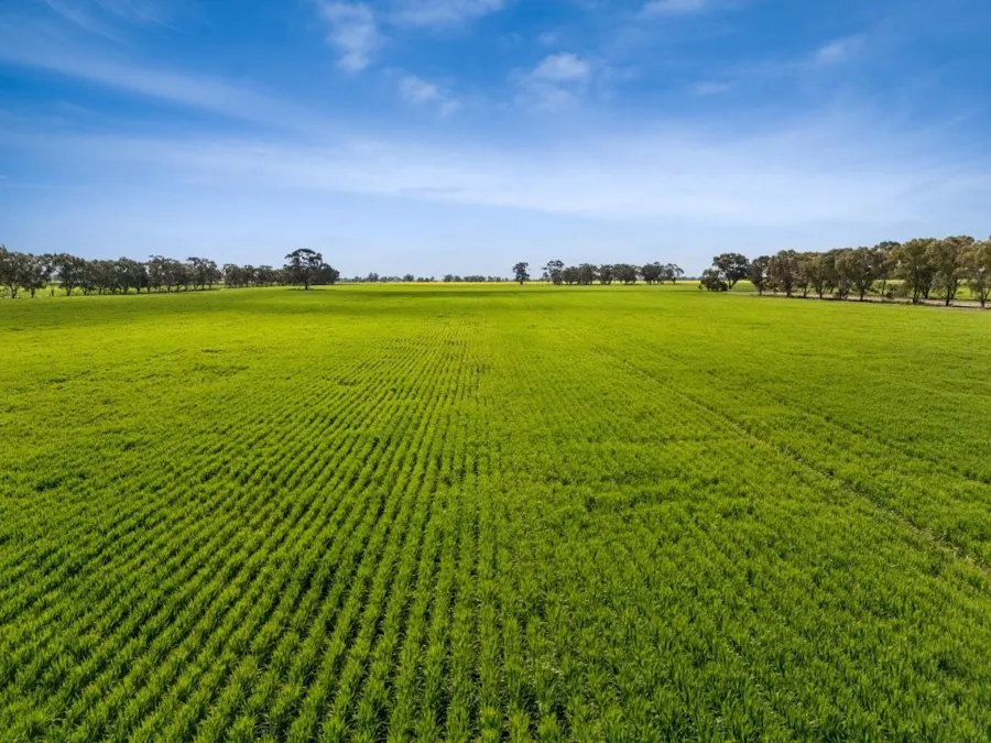 'Sevilo Grove' 934 Ham Road, Moama, NSW, 2731 - Image 30