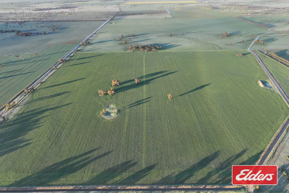 Bunnaloo Road, Moama, NSW, 2731 - Image 15
