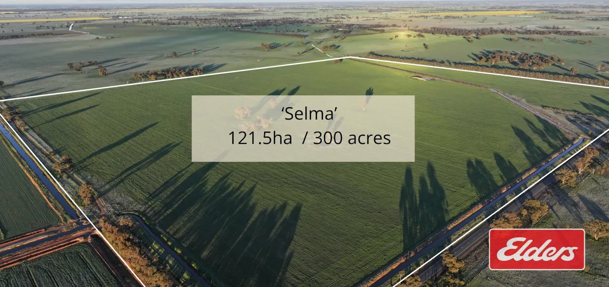 Bunnaloo Road, Moama, NSW, 2731 - Image 19