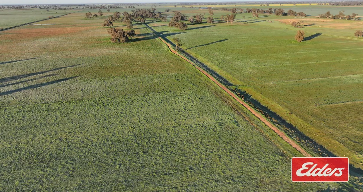 Bunnaloo Road, Moama, NSW, 2731 - Image 11