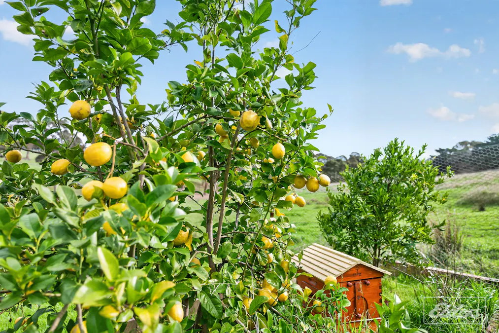 5405 Main South Road, Wattle Flat, SA, 5203 - Image 27