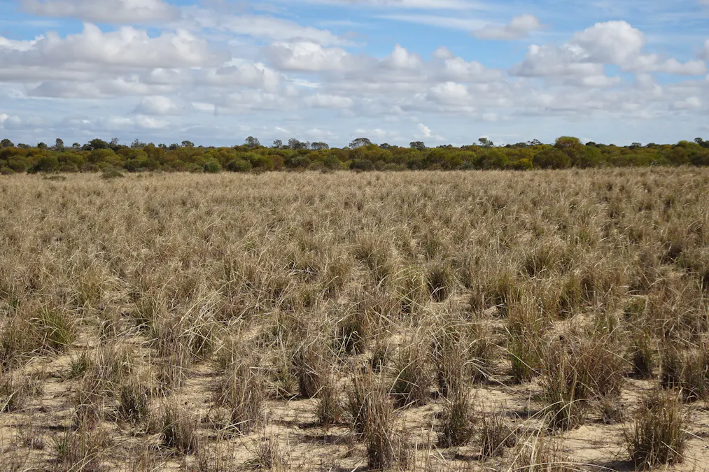 Portion of Launer Road, Eganu, WA, 6515 - Image 5