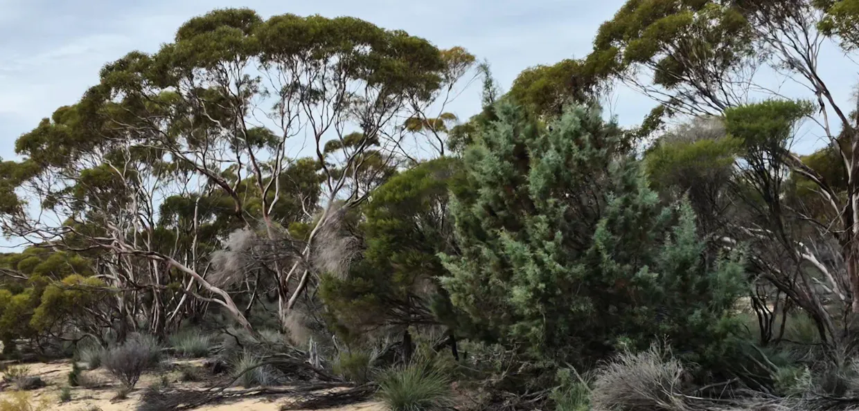 Portion of Launer Road, Eganu, WA, 6515 - Image 2