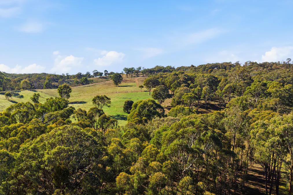 Lot 1/872 Dicks Creek Road, Murrumbateman, NSW, 2582 - Image 12