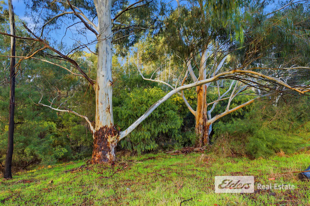 19 Stephens Street, Bridgetown, WA, 6255 - Image 15