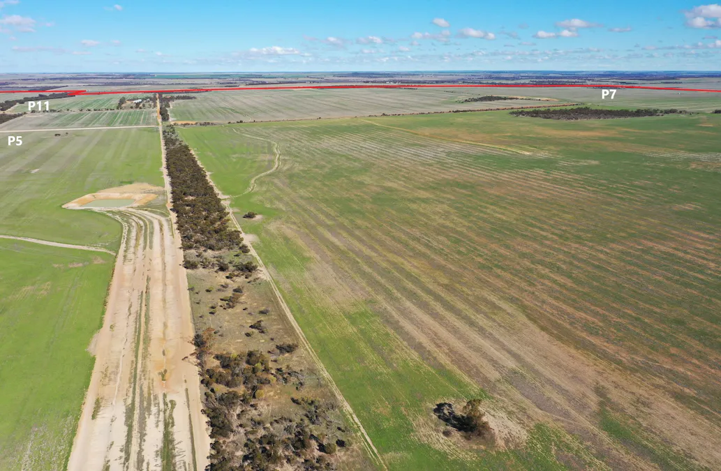 North Newdegate , Mount Sheridan, WA, 6355 - Image 6