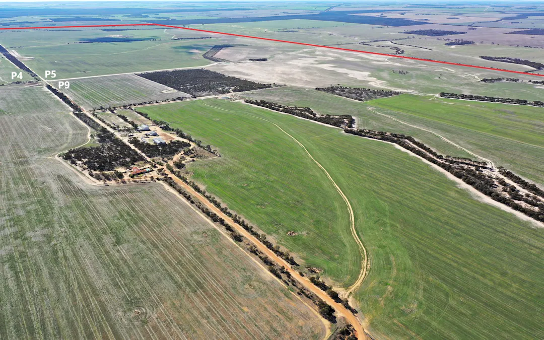 North Newdegate , Mount Sheridan, WA, 6355 - Image 4