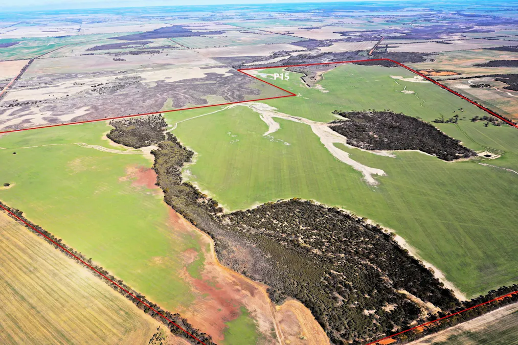 North Newdegate , Mount Sheridan, WA, 6355 - Image 10