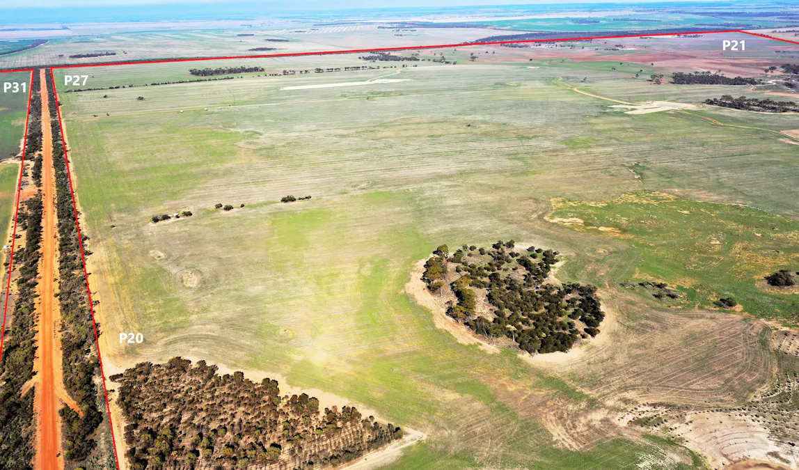 North Newdegate , Mount Sheridan, WA, 6355 - Image 34