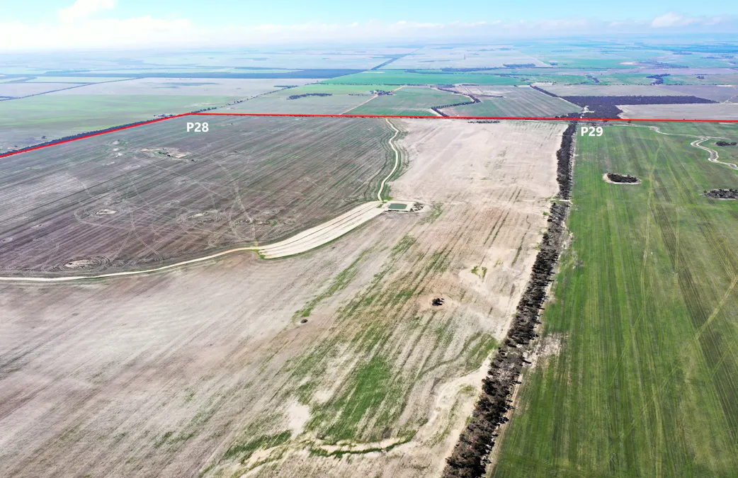 North Newdegate , Mount Sheridan, WA, 6355 - Image 33