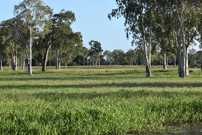174 Habana Wharf Road, Habana, QLD, 4740 - Image 1