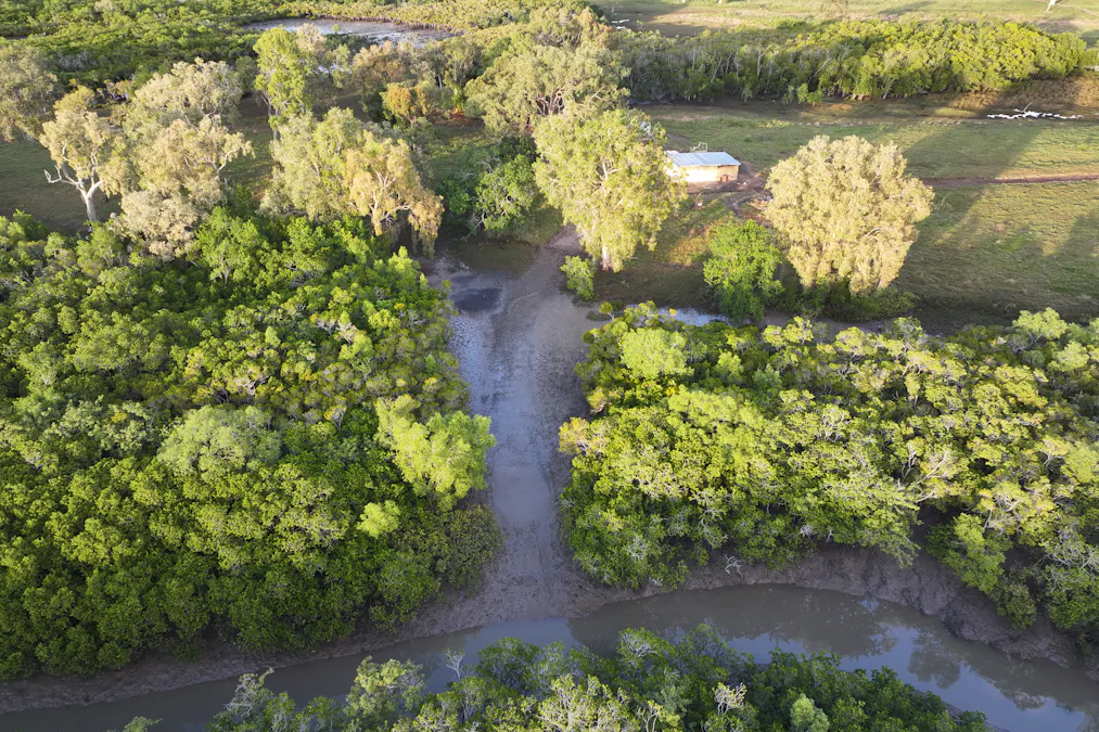174 Habana Wharf Road, Habana, QLD, 4740 - Image 16