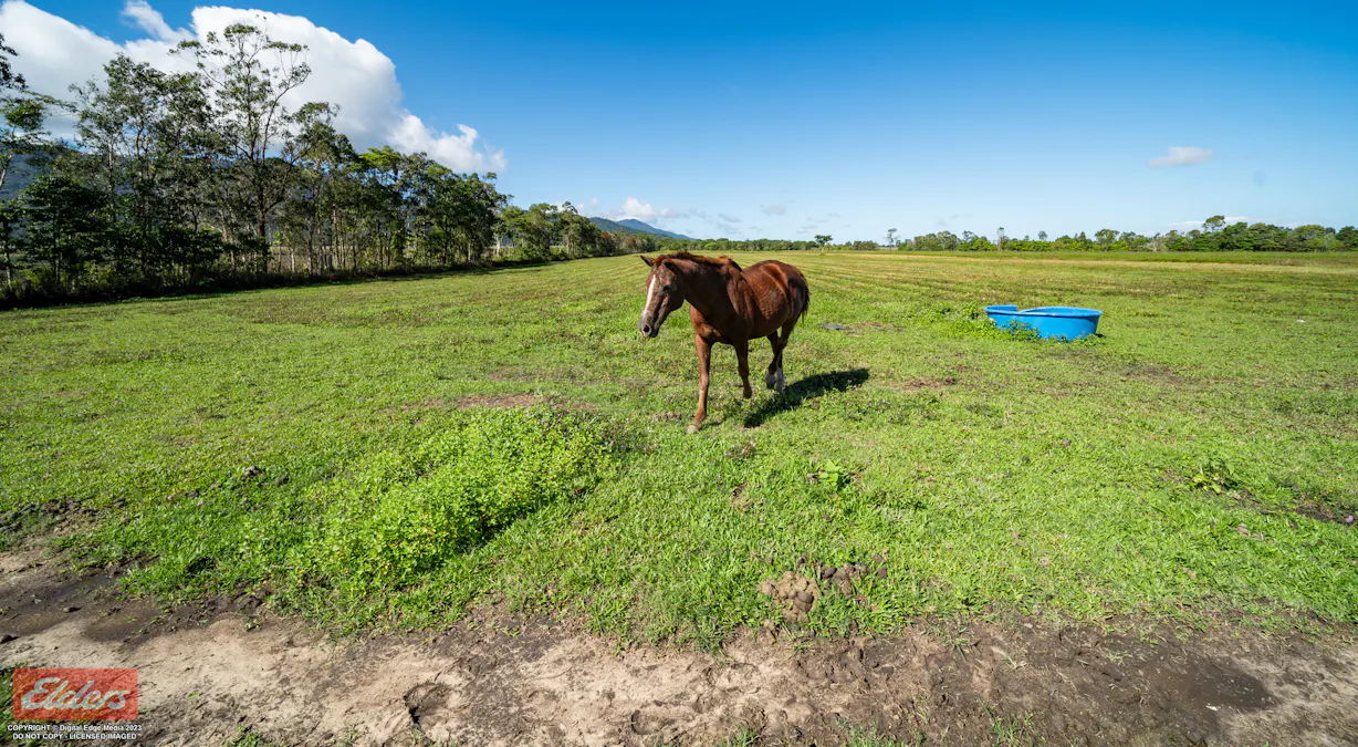 4 Scanlan Road, Jarra Creek, QLD, 4854 - Image 28