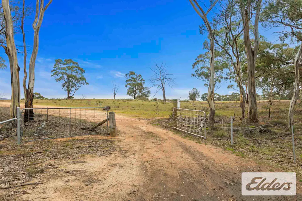 Long Gully Nook, Natte Yallock, VIC, 3465 - Image 5