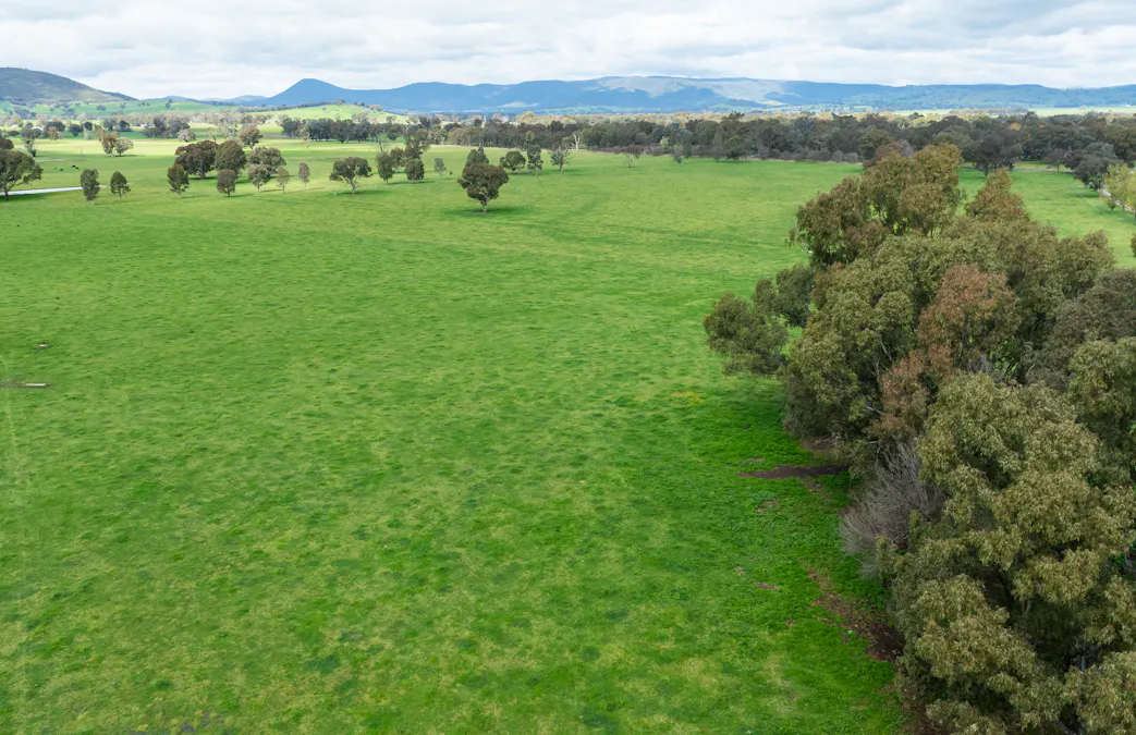 185 Jingellic Road, Holbrook, NSW, 2644 - Image 23