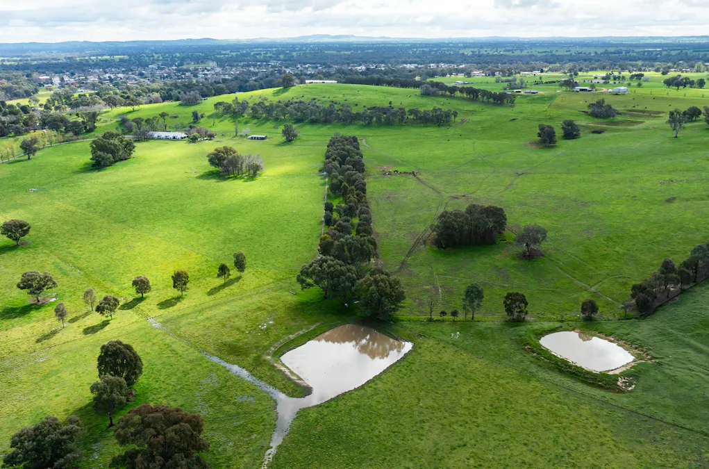 185 Jingellic Road, Holbrook, NSW, 2644 - Image 24