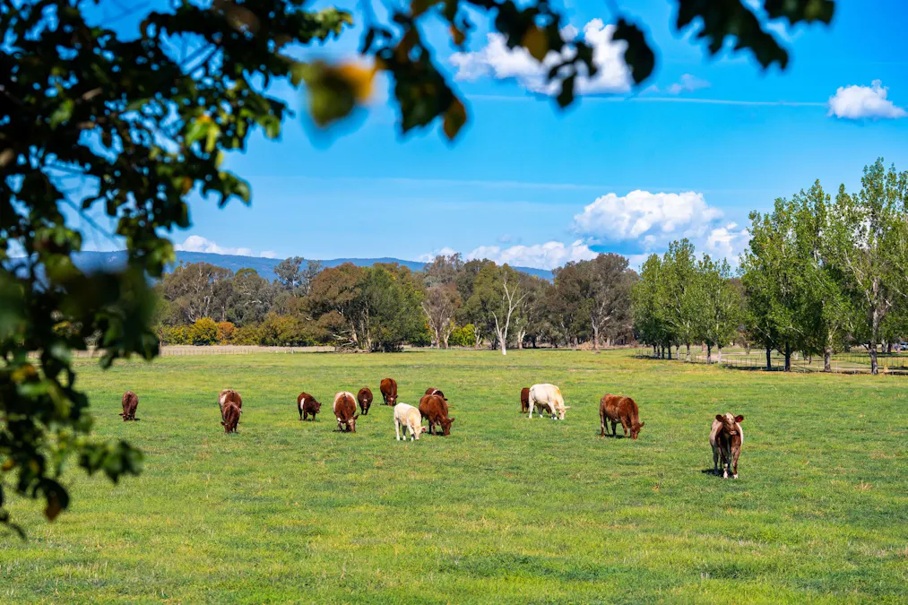 185 Jingellic Road, Holbrook, NSW, 2644 - Image 25