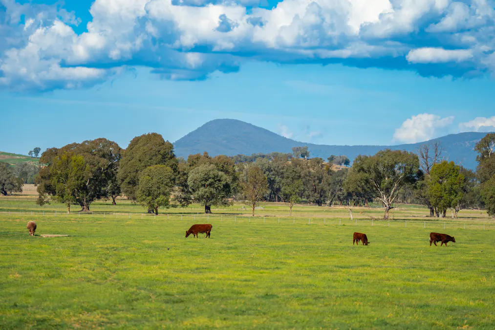 185 Jingellic Road, Holbrook, NSW, 2644 - Image 28