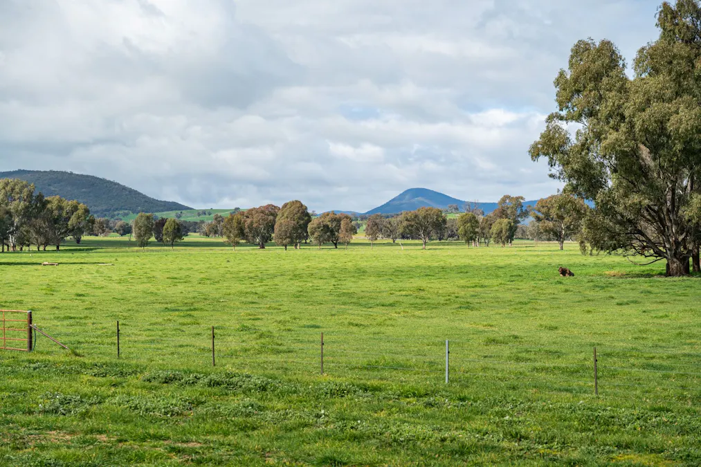 185 Jingellic Road, Holbrook, NSW, 2644 - Image 30