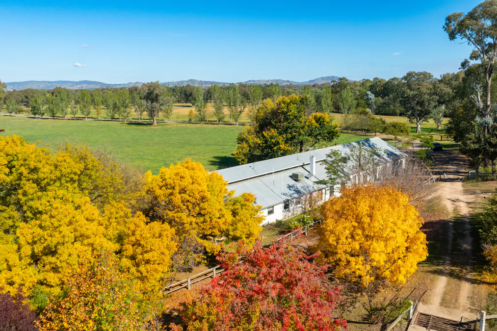185 Jingellic Road, Holbrook, NSW, 2644 - Image 31